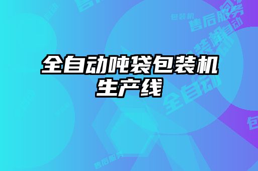 全自動(dòng)噸袋包裝機(jī)生產(chǎn)線(xiàn)